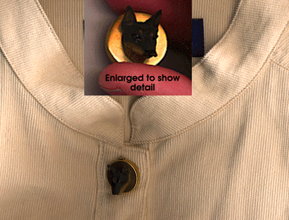 Dobe Button Cover