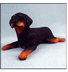 Dobe Puppy